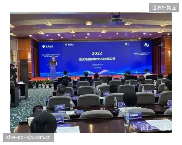 除了头部联盟，那些预算有限的中小体育联赛应如何跨越DTC的技术和资金门槛？